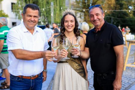 24504X0767 – kopija